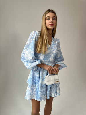 Dress Klari dior blue tigers