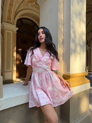 Dress Elian dior pink tigers